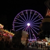 Wilson County Fair